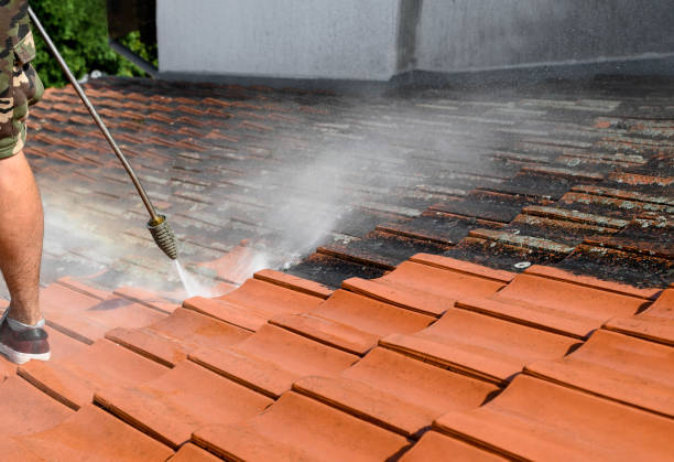  New Orleans Station, LA Pressure Washing Pros